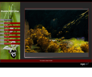 mustafaeser.net: Mustafa ESER

