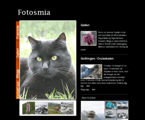 fotosmia.com: Fotosmia Hajobo
Bilder innan fritid, friluftsliv,natur, landskap,planter,blomster, skog, fjell, fjord,isbreer, vann, elver.