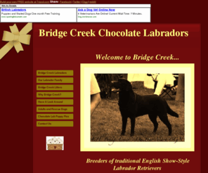 bridgecreeklabs.com: Bridge Creek Labradors
Chocolate Labrador Retriever Breeder British Columbia, Chocolate Labrador puppies available occasionally
