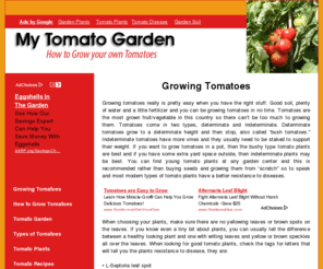 mytomatogarden.com: Growing Tomatoes
Information on Growing Tomatoes and instructions on how to grow tomatoes.