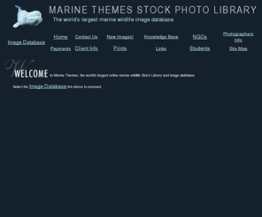 marinethemes.com: Marine Themes underwater stock photography. Whales, dolphins, sharks, fish, divers
This page is the index page for the Marine Themes Stock Photo Library containing photographs of whales, dolphins, sharks, fish, divers and much more.