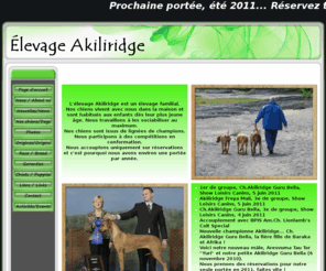 akiliridge.com: Élevage Akiliridge
L'élevage Akiliridge est un élevage familial. Nos chiens vivent avec nous dans la maison et sont habitués aux enfants dès leur plus jeune âge. Nos chiens sont issus de lignées de champions et nous participons aussi à des compétitions en conformation. Nous accouplons uniquement sur réservations et c'est pourquoi nous avons environ une portée par année.