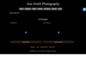 suesmithphoto.com: Sue Smith Photography
Blank photo note cards, bookmarks, and larger images with 
	photographs of Montana, Glacier National Park, Yellowstone National Park, Ghost Towns, 
	Flowers, Birds, and Animals can be found at Sue Smith Photography.