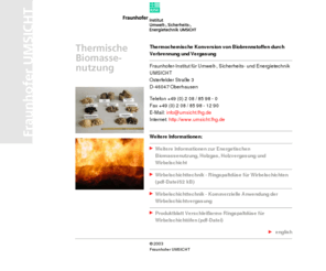 holzvergasung.info: Thermische Biomassenutzung - Willkommen!
Thermochemische Konversion von Biobrennstoffen durch Verbrennung und Vergasung