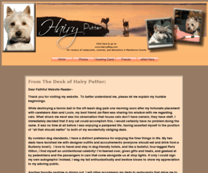 hairy-putter.com: From The Desk of Hairy Putter
Hairy Putter, who is a Cairn Terrier, is also the official ambassador for Mendocino County, California.