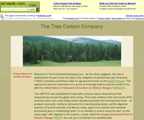 thetreecarboncompany.com: The Tree Carbon Company
