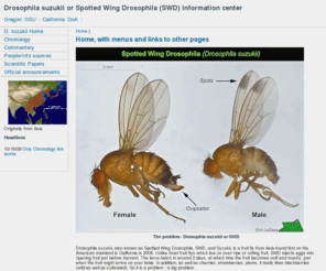 drosophilasuzukii.org: Drosophila suzukii is a big problem
