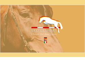 gestuetligges.com: Gestüt Ligges - Pferde für den Sport
Gestüt Ligges - Pferde für den Sport