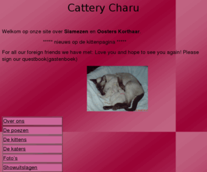 catterycharu.com: Home
