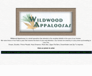 wildwoodappaloosas.com: Click on photo to enter
