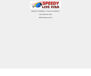 speedylivefish.com: Speedy Live Fish.com
