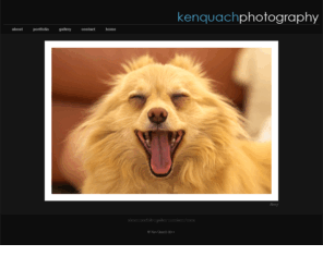 kenquach.com: kenquach.com - sydney photographer
Website of Sydney based photographer Ken Quach