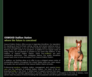 oswoodstallionstation.com: Oswood Stallion Station
