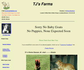 0 TJ&#39;s Farms Pygmy Goats and Golden Retrievers