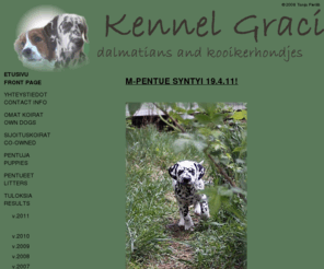 gracilis.net: Kennel Gracilis
Kennel Gracilis, dalmatians and kooikerhondjes