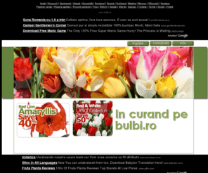 bulbi.ro: Vanzari online bulbi flori
Bulbi ro - vanzari si prezentari online de produse pentru gradinarit. Vanzari de bulbi, seminte si rasaduri pentru flori si legume cu posibilitatea comandarii en-detail sau en-gros