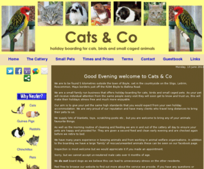 catsandcoholidays.com: "Cats & Co. Holiday Boarding for Cats, Birds and Small Caged Pets".
Cats & Co. holiday boarding For cats, boarding for birds, boarding for small caged pets, boarding for small animals, boarding for small pets