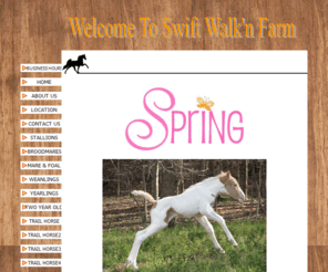 swiftwalknfarm.com: Home
Tennessee Walking Horses Tennessee Walking Horse Stallions Tenneessee Walking Horse Weanlings Yearlings Tennessee Walking and Spotted Saddle Trail Horses Mares and Foals Broodmares for sale