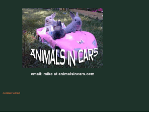 animalsincars.com: Animals in Cars
Rock band using alternately tuned guitars, based out of Seattle, WA.