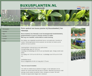 buxuskwekerij.net: RUIM AANBOD VAN BUXUS PLANTEN  ::  Buxuskwekerij Van Heeswijk Schijndel
Buxus kwekerij Van Heeswijk is een toonaangevende handelskwekerij, gespecialiseerd in buxus in diverse vormen en maten.