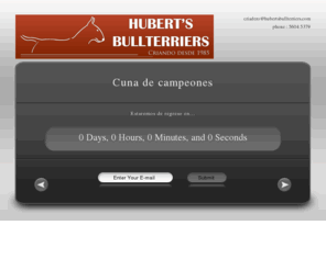 hubertsbullterriers.com: ₪₪₪ Hubert's Bullterriers :: Los Mejores Bullterriers desde 1985 de México ₪₪₪
Hubert's Bullterriers, criadero que desde 1985 ofrece los mejores Bull Terriers de México.