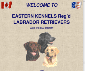 easternlabs.net: Eastern Kennels Reg'd
Eastern Kennels Reg'd Labrador Retrievers Contact Julie and Bill Barrett (709) 747-4141 inquiries@easternlabs.net
