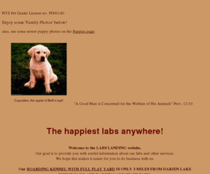 labslanding.com: Labs Landing: the happiest labs anywhere
Labs Landing: The Happiest Labs Anywhere. All our AKC show quality dogs are HOUSE RAISED and loved by all our family and friends.. and you too.