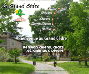 pension-le-grand-cedre.com: Le Grand Cèdre: pension canine et elevage bouviers bernois, chatterie et nurserie en Haute Garonne
Le Grand Cèdre : Pension Canine le Grand Cèdre  pensions pour chiens bouviers bernois, chatterie et nurserie. Notre établissement a été créé de manière à ce que les animaux disposent d'un maximum de place et de confort (bac et tapis fournis sans supplément). Nous disposons d'un parc de 2500 m2 clôturé à 3m30 où les chiens sortent en couple environ toutes les heures. Notre chatterie est chauffée sans supplément.