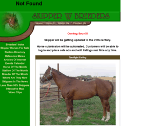 skipperwbreeders.com: Skipper W Breeders
Absolutely the most comprehensive one-stop source for the Skipper W breeder, buyer, and enthusiast.  SkipperWBreeders.Com is the largest, organized group of Quarter Horse, Paint Horse, and Appaloosa Horse Breeders on the World Wide Web.