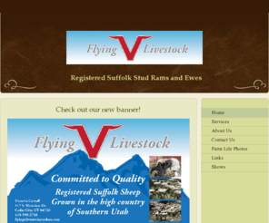 flyingvlivestock.com: Flying V Livestock - Home
Check out our new banner!