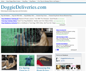 doggiedeliveries.com: DoggieDeliveries.com | Delivering the latest dog news and information.
