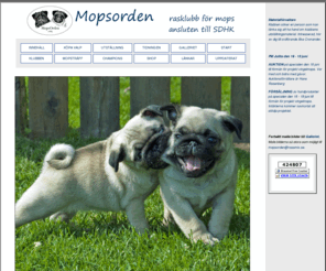 mopsorden.se: mopsorden.se
