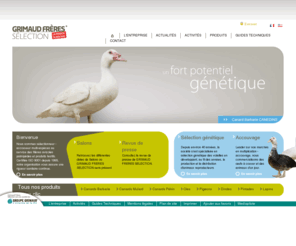 grimaudfreres.com: Grimaud Frères Sélection - Sélection génétique et accouvage de canard - oie - dinde - pintade - pigeon
Sélectionneur - accouveur multi-espèces au service des filières avicoles palmipèdes et produits festifs. Certifiée ISO 9001 depuis 1995, notre organisation vous assure une rigueur sanitaire continue.