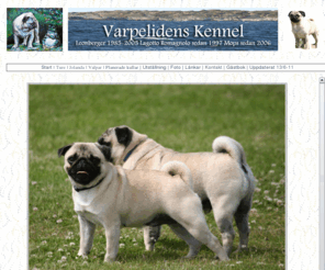 varpelidens.com: Varpelidens Kennel
Uppfödning av Mops i Varberg.