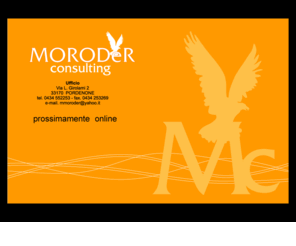 moroderconsulting.com: Moroder Consulting
export export export