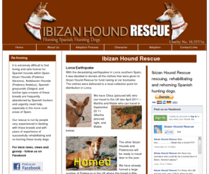 ibizanhoundrescue.com: Ibizan Hound Rescue in Spain
Ibizan Hounds(Podenco Ibicenco) and  Andalucian Hounds (Podenco Andaluz), including Podenco Lurcher cross breeds in need of a quality life.