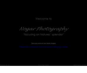 nogarimages.com: Nature Photography by Stephen Nogar Photography
Stephen Nogar Photography produces quality photographic images of Nature, at an affordable price. The focus is on wildlife portraiture in their wild and natural habitat..