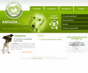 ashuda.com: ASHUDA - Asociación Huasteca Defensora de los Animales, A.C.
ASHUDA a quien lo necesite. Esterilizamos, vacunamos y adoptamos animalitos de la calle. Hay muchos animalitos buscando a quién querer y ser queridos, y claro... También cuidar de ti. ĄHaz conciencia!