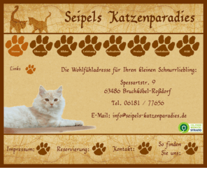 seipels-katzenparadies.com: Seipels Katzenparadies
Katzen, Seipels Katzenparadies