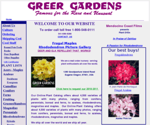 greergardens.com: Rare and Unusual Plants for Mail Order: Acers, Azaleas, Rhododendrons
Plant Mail Order and Retail Nursery offering a detailed descriptive catalog of 4,500 plant cultivars yearly. Shipping nationwide and to many parts of the world. 