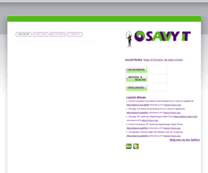 savvy-it.nl: -| Savvy IT: Detacheren, werven en projecten |-
