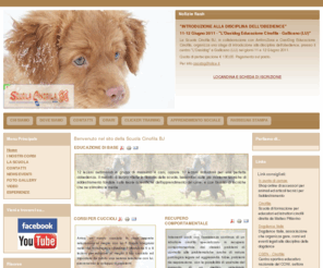 scuolacinofilabj.com: Benvenuto nel sito della Scuola Cinofila BJ
Scuola cinofila Bj, educazione e addestramento cuccioli e cani adulti, educazione di base ed avanzata, puppy class, obedience, agility, clicker training, apprendimento sociale