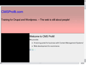 profitcms.com: CMS Profit
CMS Profit