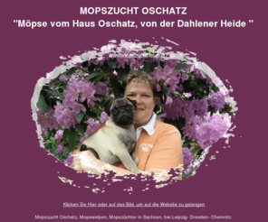 mopszucht-oschatz.de: Mopszucht Oschatz - Mopswelpen und Mops Hunde von der Dahlener Heide - Mopszucht aus Sachsen bei Leipzig-Dresden Deutschland, Mops, Mopswelpen, Mopsdeckruede
MOPSZUCHT OSCHATZ VON DER DAHLENER HEIDE, Mops Hundezucht aus Sachsen bei Leipzig, Wir haben zeitweise typvolle Mopswelpen in beige und schwarz.