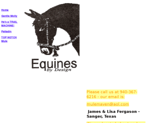 equinesbydesign.org: Home
Equines by Design, Sanger, Texas has been raising and training quality mules for sale since 1979.  Our mammoth jacks are the ideal for raising saddle type mules, our broodmares are quarterhorse, paint and warmbloods.  We use natural horsemanship techniques to train our friendly, good minded athletic mules.  
