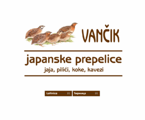 vancik.net: ::VANCIK - Sremska Mitrovica : Jaja japanske prepelice, pilici, kavezi, kutije ::
