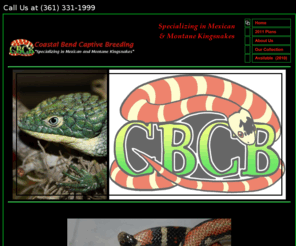 coastalbendcaptivebreeding.com: Coastal Bend Captive Breeding
Coastal Bend Captive Breeding.  Specializing in Mexican & Mountain Kingsnakes.
