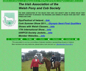 irishawpcs.com: The Irish Association of the Welsh Pony and Cob Society.
The Irish Association of the Welsh Pony and Cob Society.