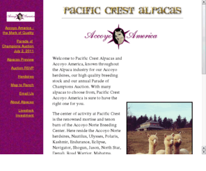 accoyonorte.com: Welcome to Pacific Crest Alpacas and Accoyo America!
Welcome to Pacific Crest Alpacas and Accoyo America, known throughout the Alpaca industry for our Accoyo herdsires and high quality breeding stock. Home of the annual Parade of Champions event featuring  championship quality alpacas, informative seminars with outstanding speakers, delicious food, and  a beautiful setting.