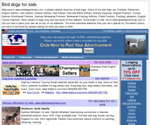 birddogsforsale.com: bird dogs for sale, birddogsforsale,  www.birddogsforsale.com
Bird dogs for sale. Hunting dogs, 